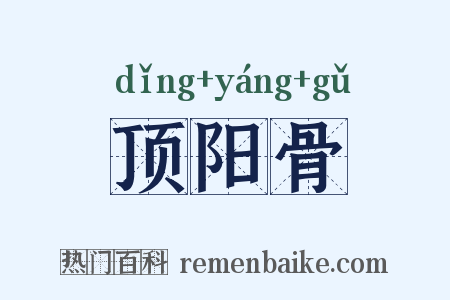 顶阳骨是什么意思的图片